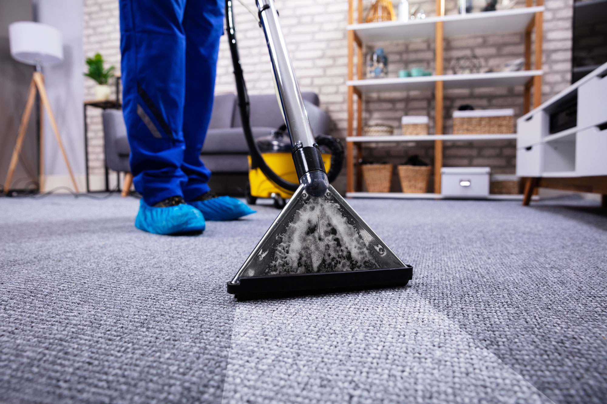 Professional Cleaner cleaning a carpet in a business